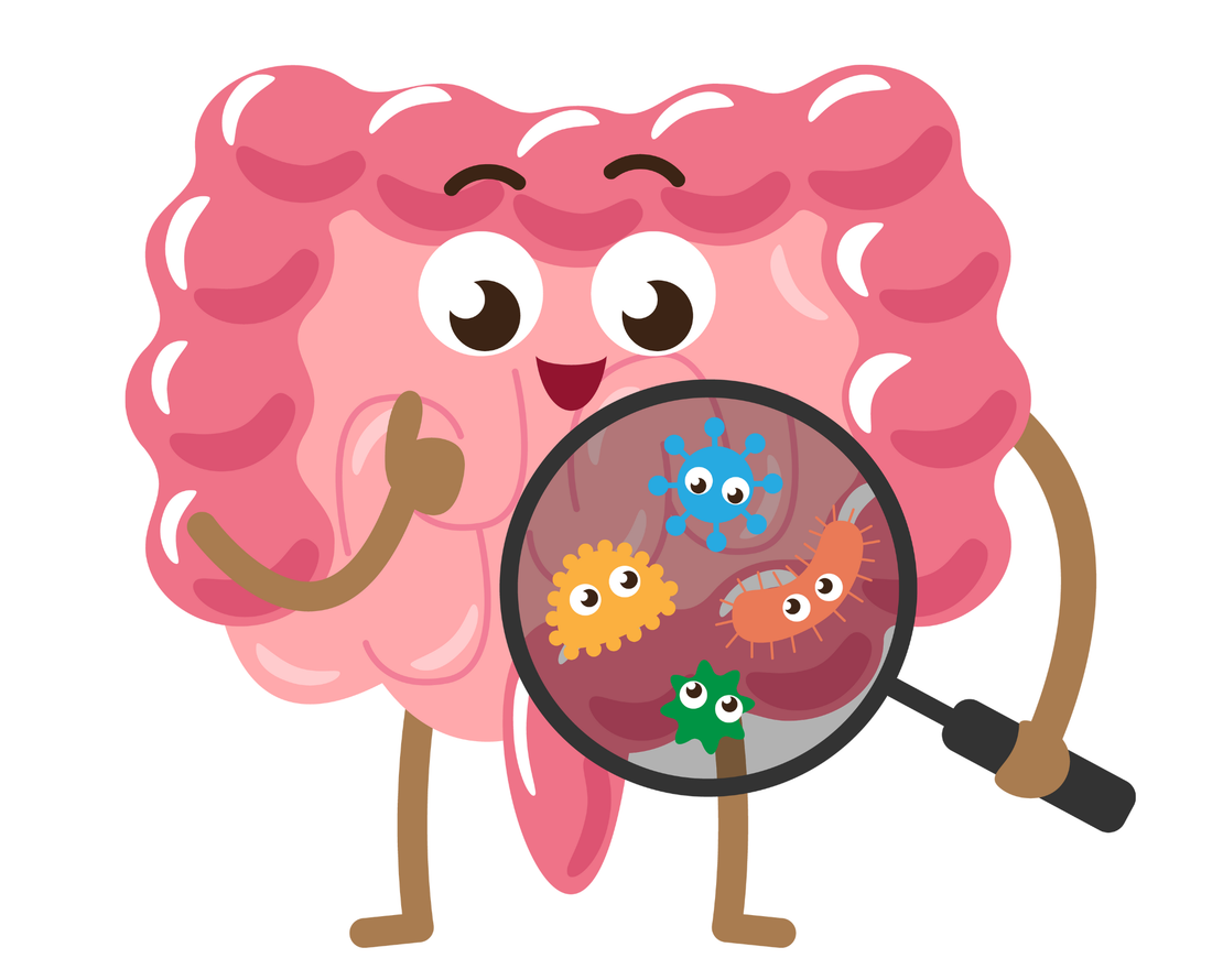 Baby's Gut Health: Scoop 2