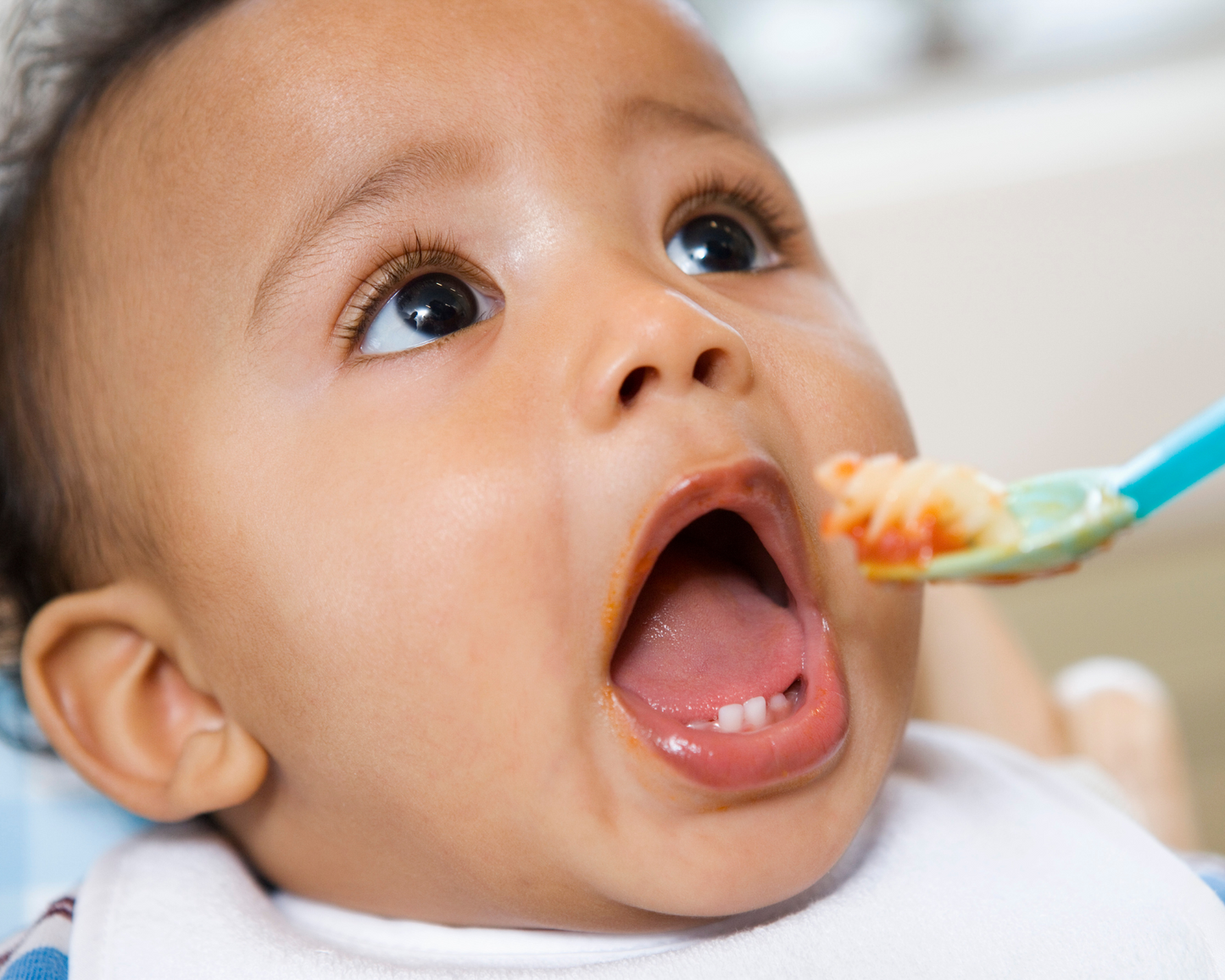 Join the Fun: Preparing for Solids